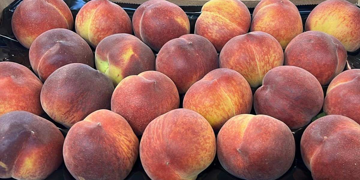 Pesche e nettarine, periodo deprimente. Consumi giù del 50%